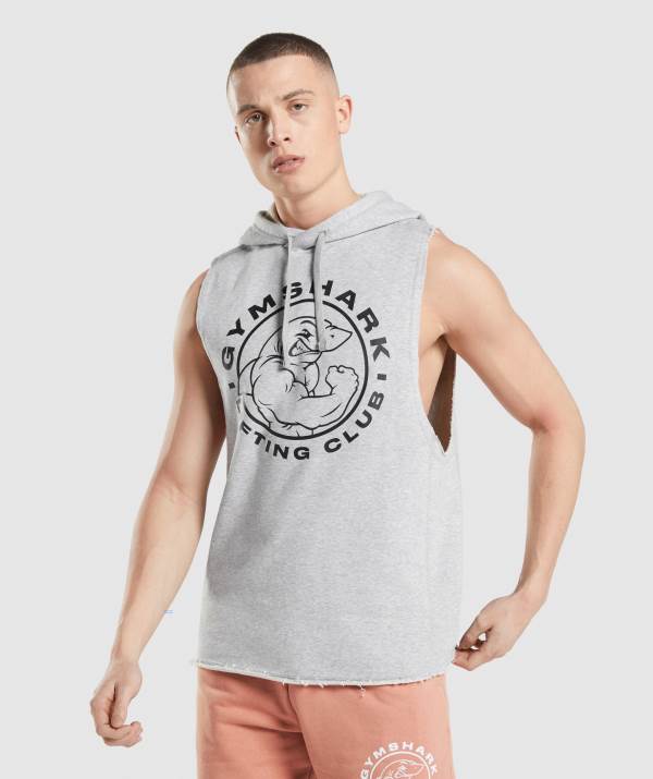 Panske Mikiny S Kapucňou Gymshark Legacy Drop Arm Svetlo Siva | WB4103287